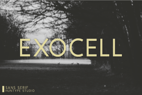 Exocell: A Clean Sans Serif Font for Modern Campaigns