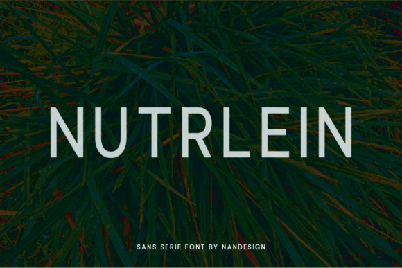 Nutrlein: A Clean Sans Serif Font for Modern Branding