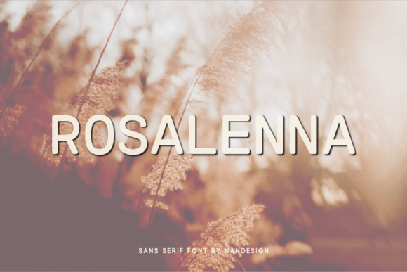 Rosalenna Font Review: A Minimal Sans Serif for Modern Brands