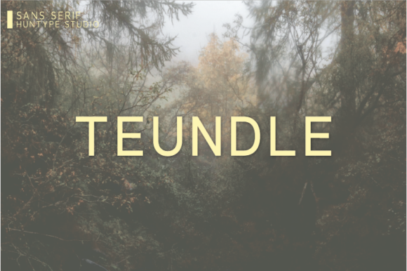 Teundle Review: A Modern Sans Serif for Bold Branding