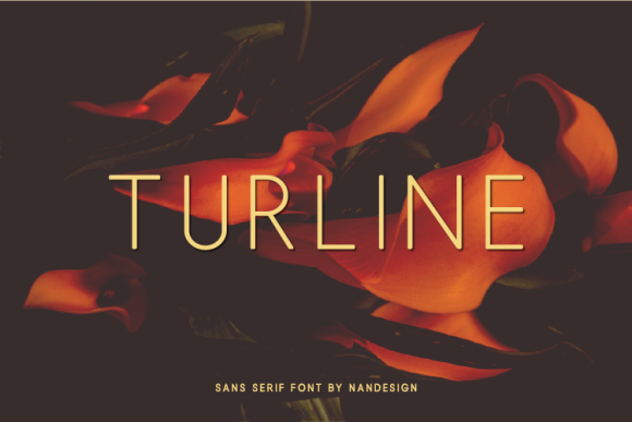 Turline: The Versatile Sans Serif Font for Small Business Branding