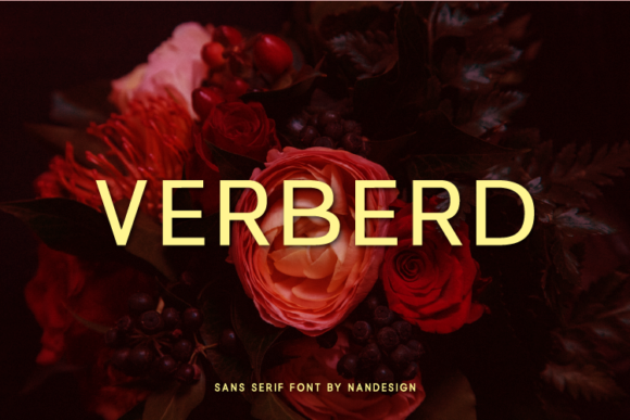 Verberd: A Clean Sans Serif Font for Modern Editorial Design