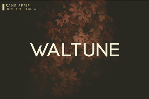 Waltune: The Minimal Sans Serif Font for Stronger Branding