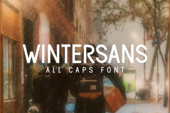 Wintersans: A Designer’s Honest Review